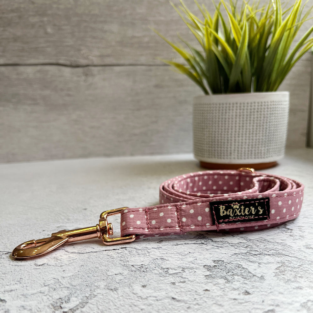 polka dot dog lead