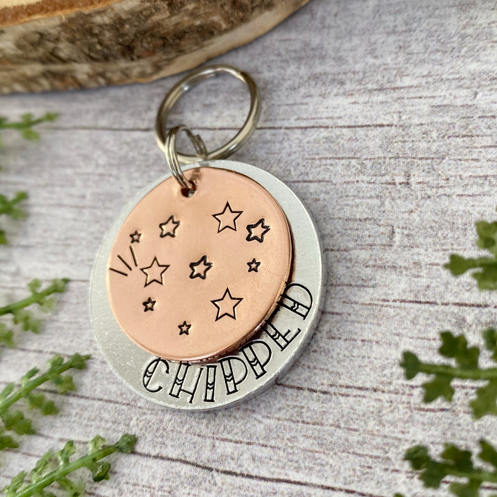 
            
                Load image into Gallery viewer, hand made dog tag
            
        