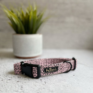 animal print dog collar