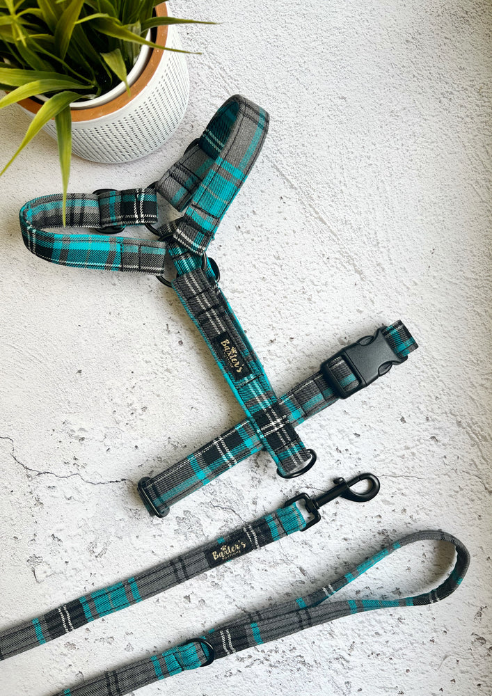 Blue tartan dog best sale harness