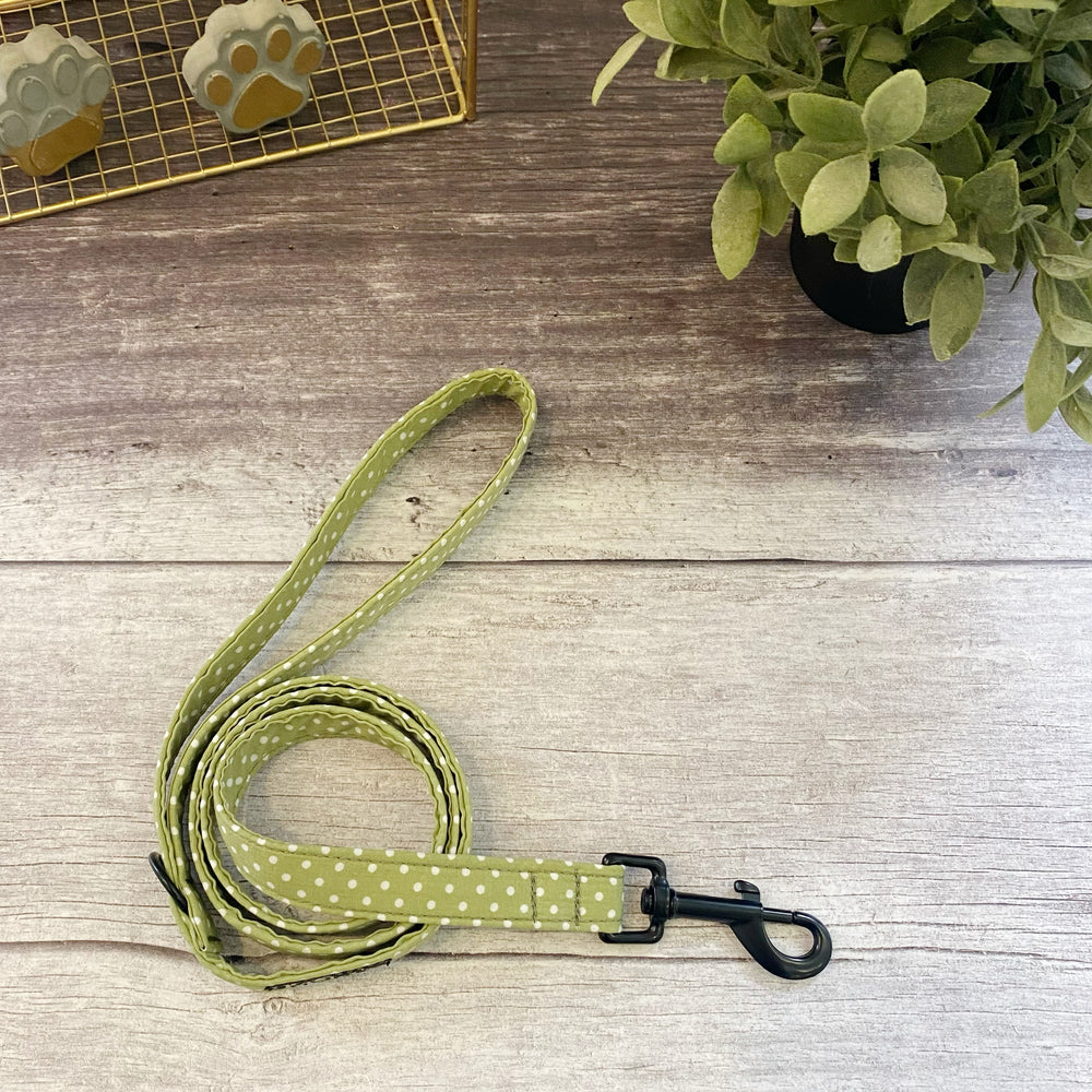 
            
                Load image into Gallery viewer, pistachio polka dot dog lead
            
        
