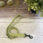 pistachio polka dot dog lead