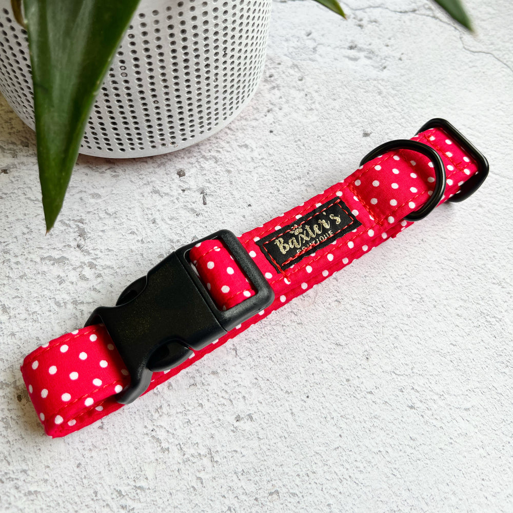 
            
                Load image into Gallery viewer, red polka dog collar
            
        