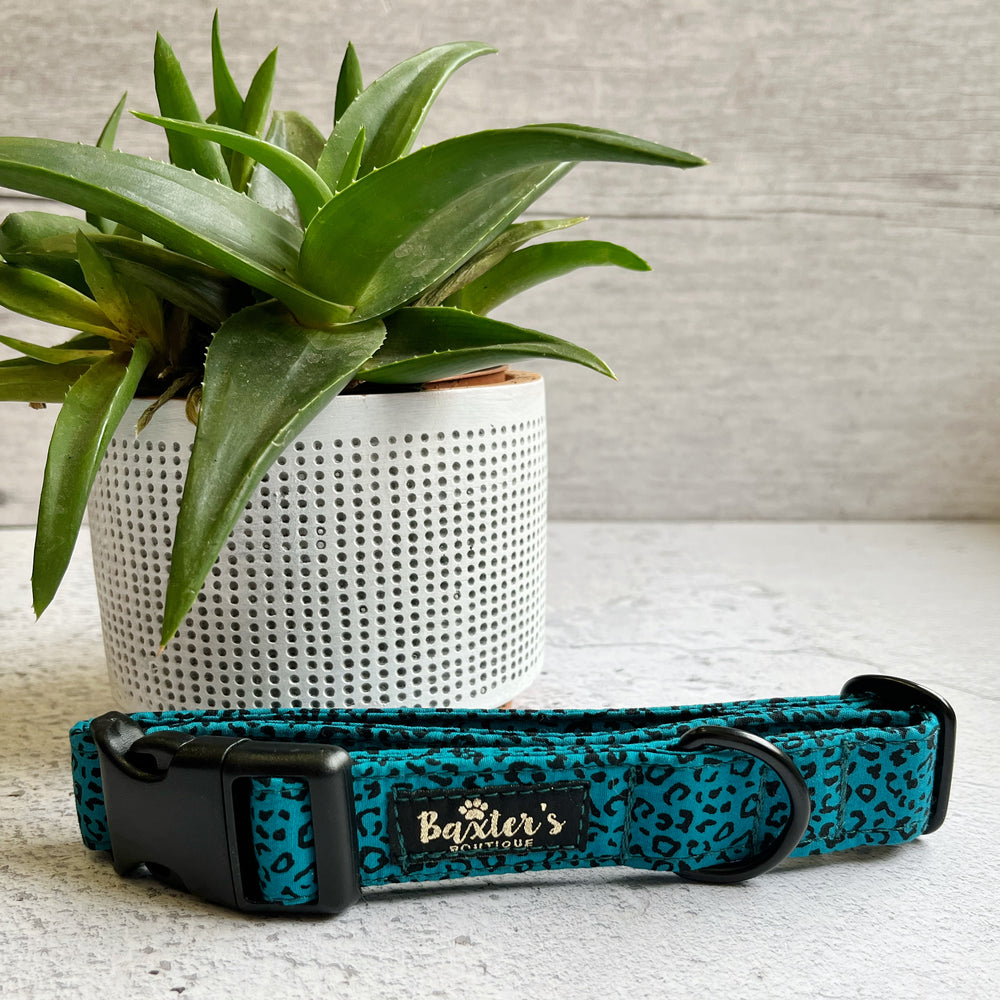 hand made dog collar