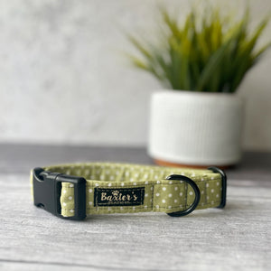 polka dot dog collar