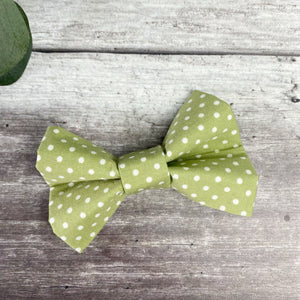 polka dot dog bow tie