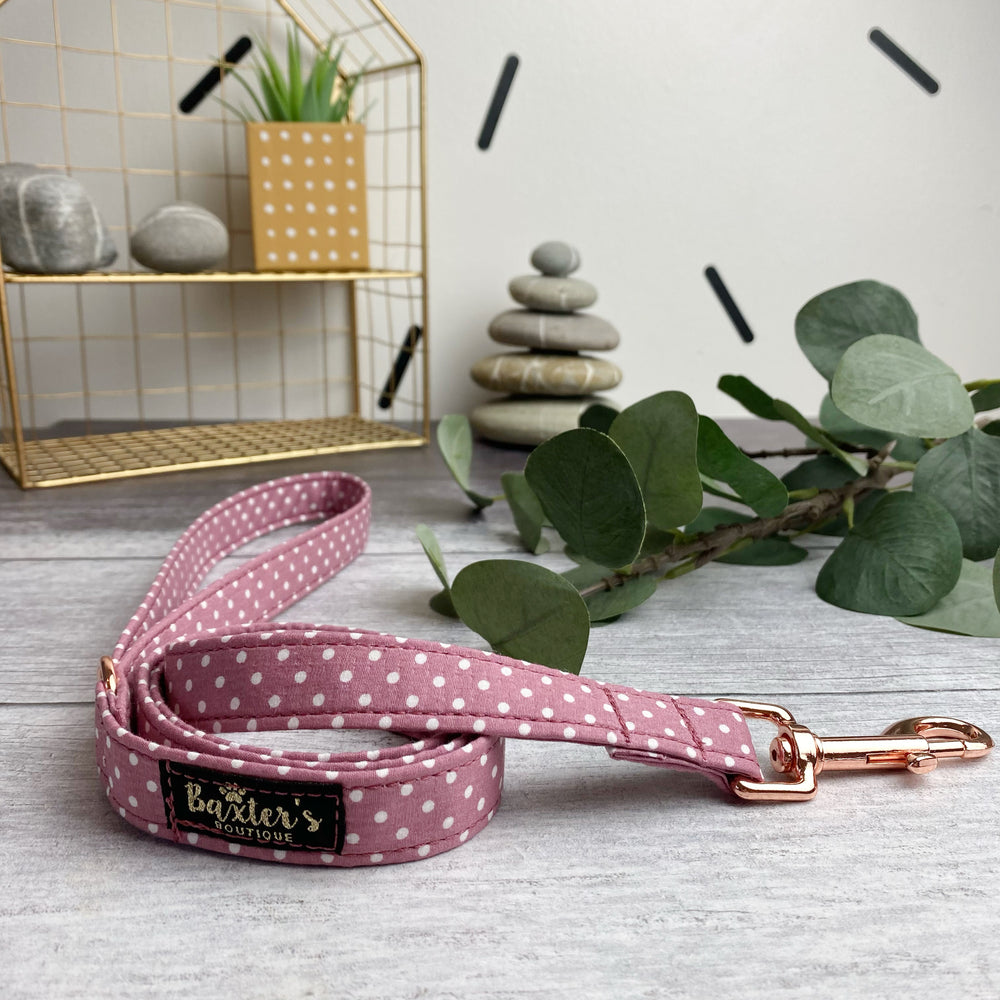 baxters boutique