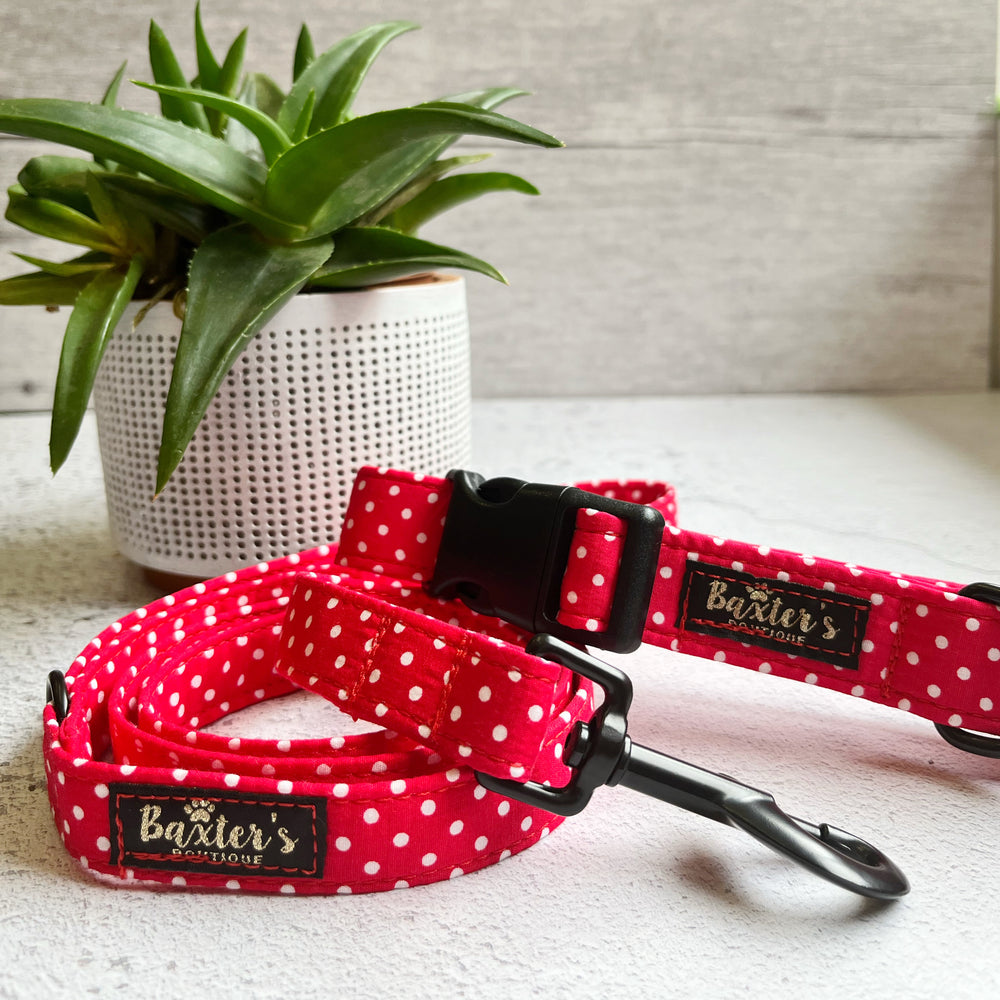 matching dog collar and lead