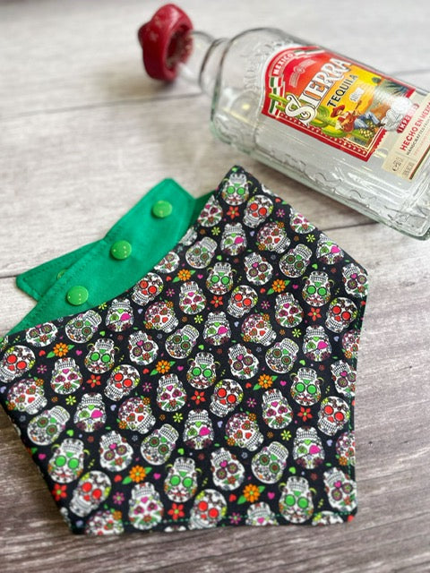Bandana | Tequila made me do it!