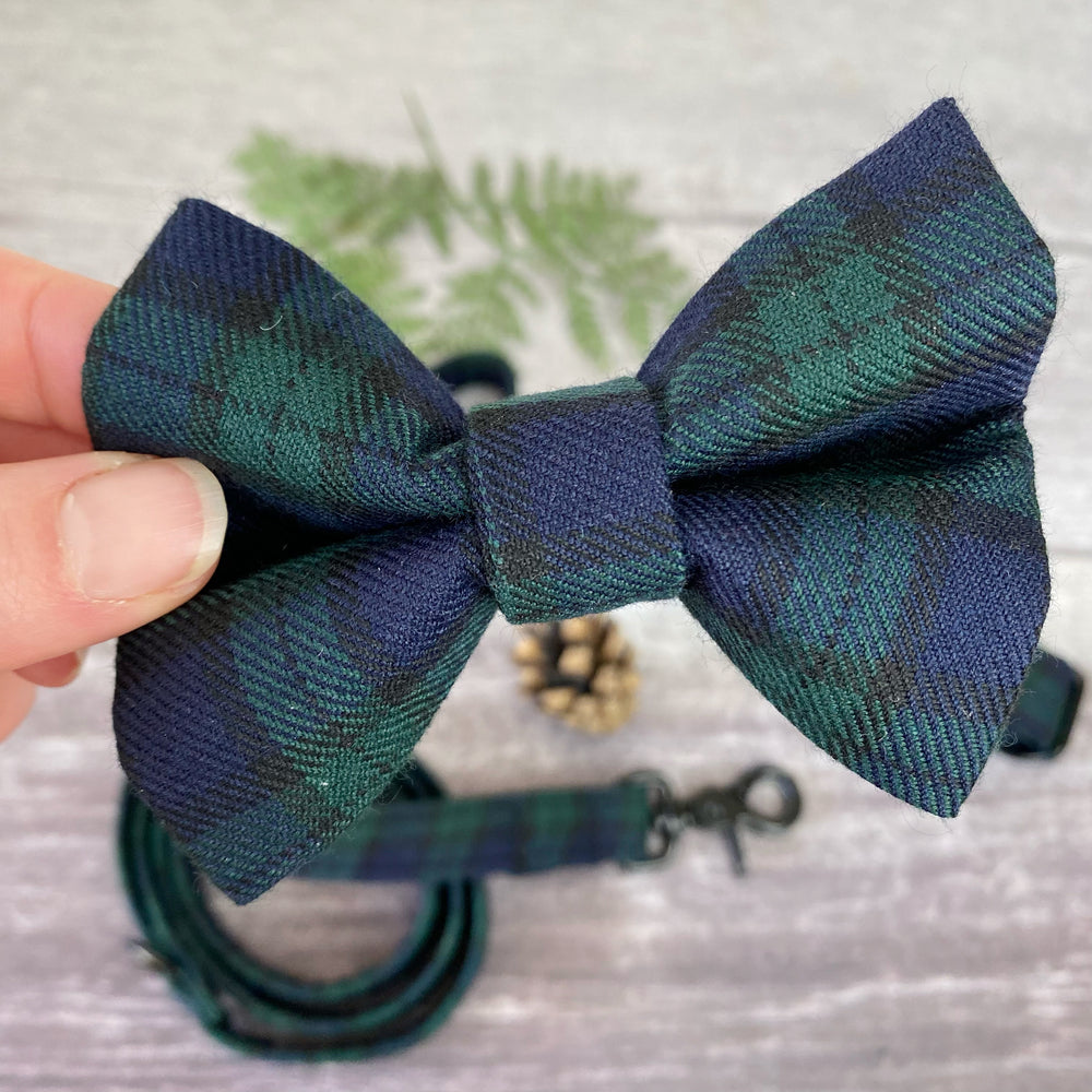 black watch tartan dog bow