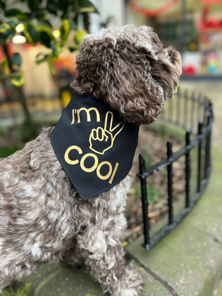 Bandana | I'm 2 Cool / Tattoo Vibes