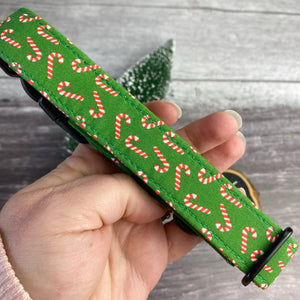 Festive Dog Collar