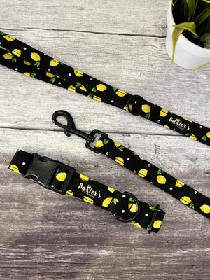lemon print dog lead and collar