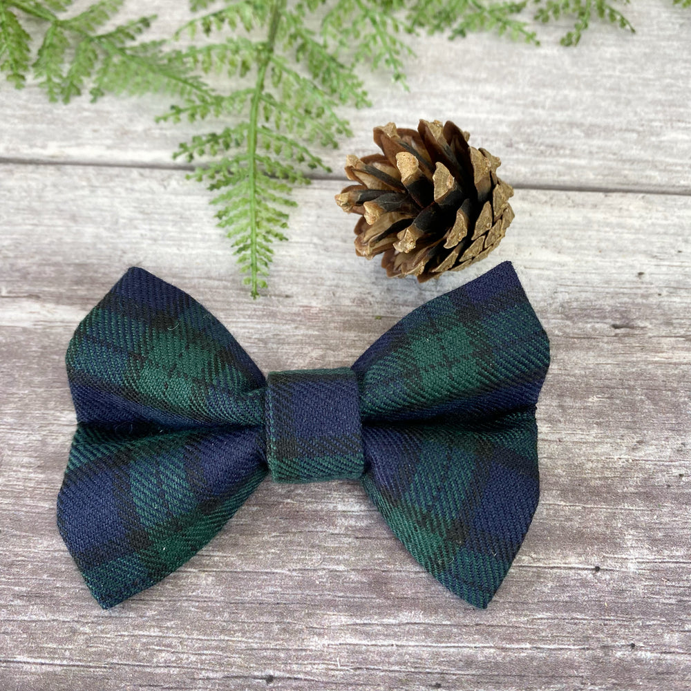 tartan dog bow