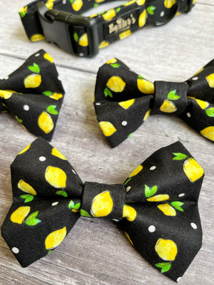 lemon dog bow tie