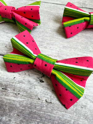 
            
                Load image into Gallery viewer, Watermelon Slice Dog Bow
            
        