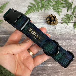 black watch tartan dog collar