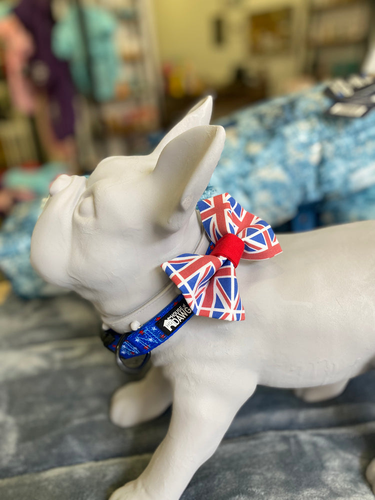 union jack bow tie frenchie