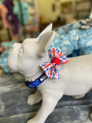
            
                Load image into Gallery viewer, union jack bow tie frenchie
            
        