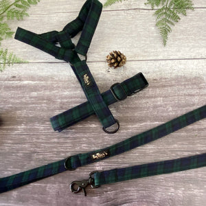
            
                Load image into Gallery viewer, black watch tartan dog lead and harness
            
        